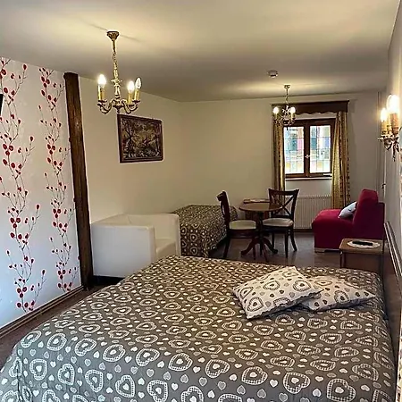 La Grange Du Pape - Annexe De L'hotel La Ferme Du Pape Eguisheim